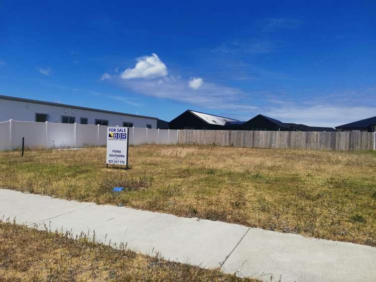 113 Kaurinui Crescent_1