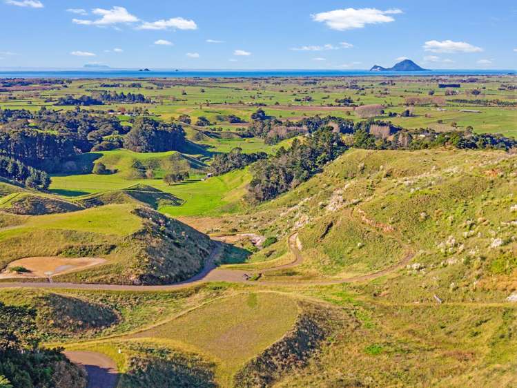 31 Rangipare Lane Matata_11