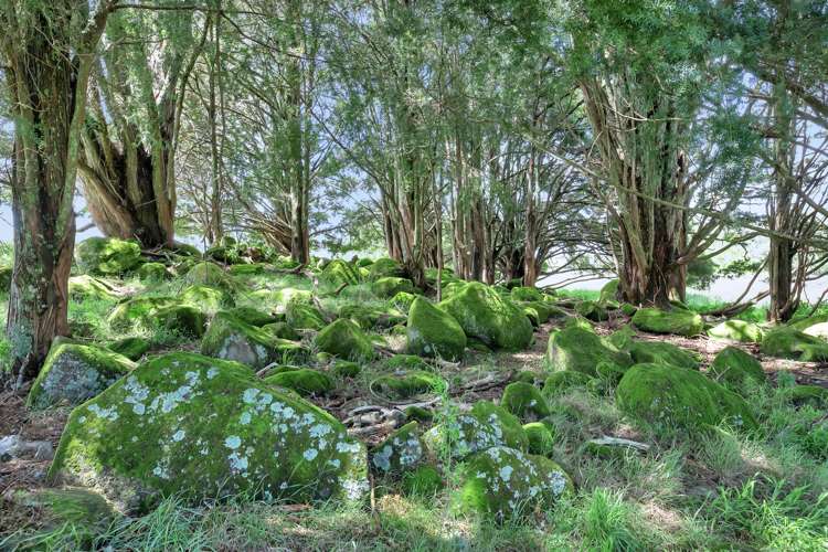 527 Whatitiri Road Poroti_17