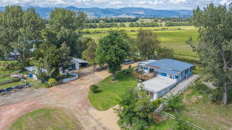 328 Hokio Beach Road Hokio Beach_21