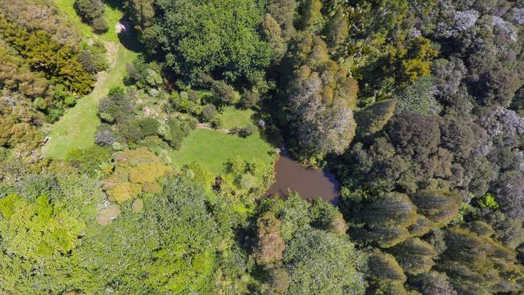 399 Horseshoe Bush Road Dairy Flat_13