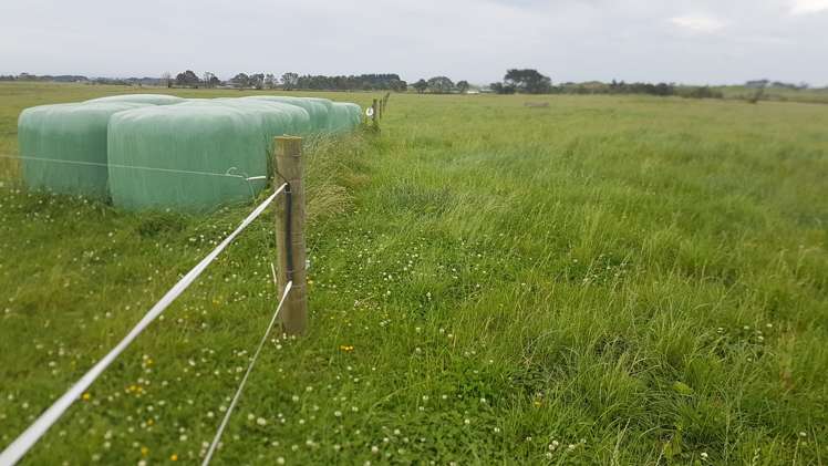 531 Ngariki Road Rahotu_1