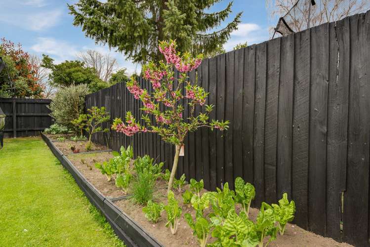 194 Cranford Street Saint Albans_18