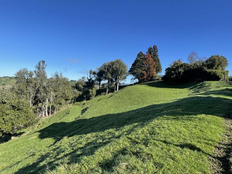 80b Mangaotaki Road Piopio_45