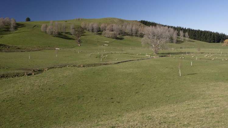 Burnetts Road Masterton_16