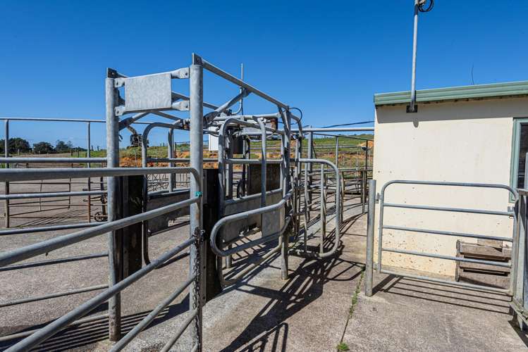 731 Puhipuhi Road Whakapara_15