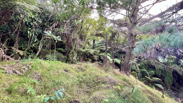 694 The 309 Road, Waiau Coromandel_13