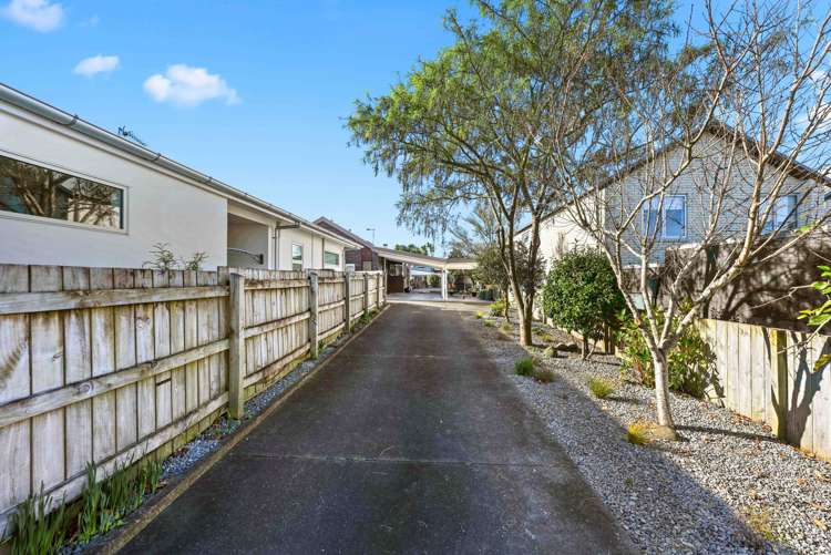 62 Herbert Road Queenwood_14