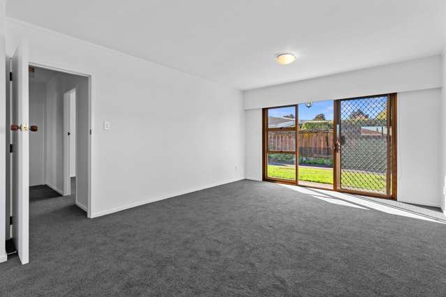 93a Grace Road Tauranga South_2