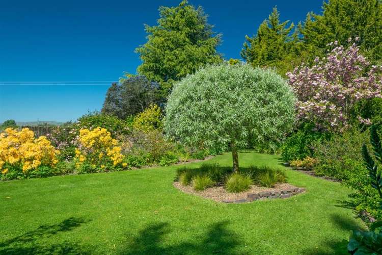 671 New Renwick Road Fairhall_38