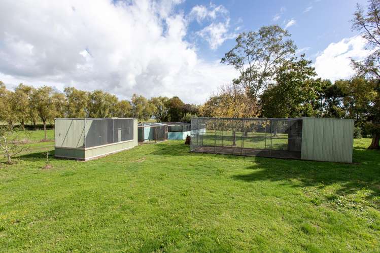 230 Central Road North Waitakaruru_25