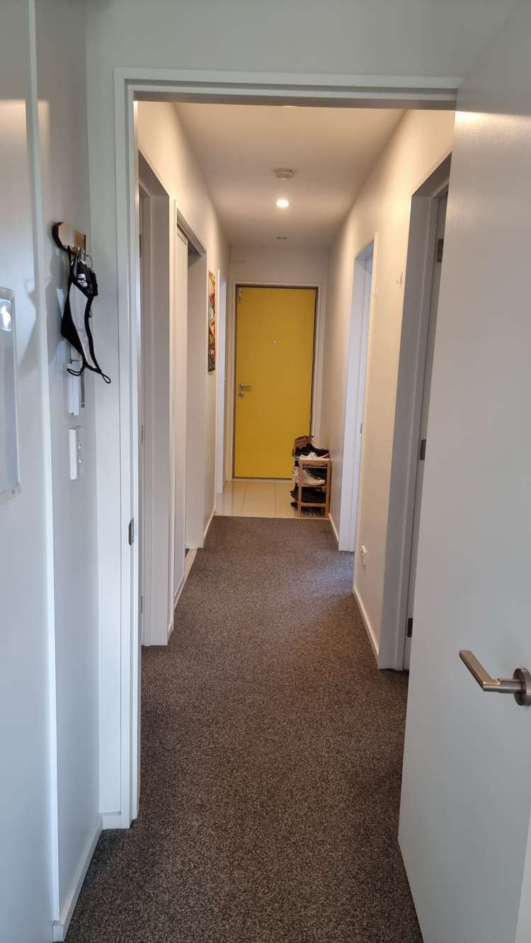 23 Buckhurst Avenue Wigram_10