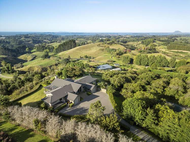 230A Waipapa Block Road Whakamarama_29