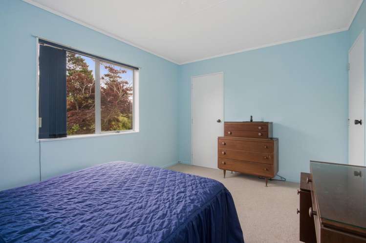 9093 State Highway 2 Waihi_6