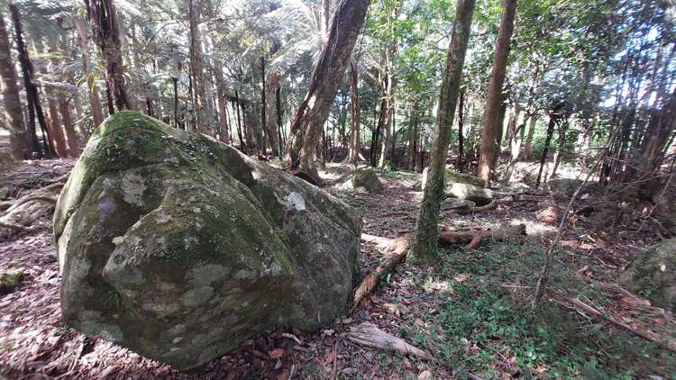 311b Akerama Road Hukerenui and Surrounds_24