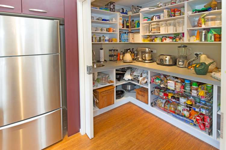 92b Scott Road Stanmore Bay_9