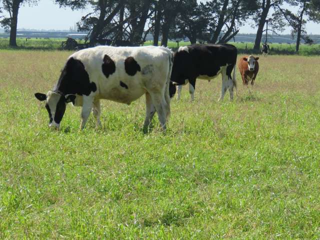 657 Maronan Road Winslow_2