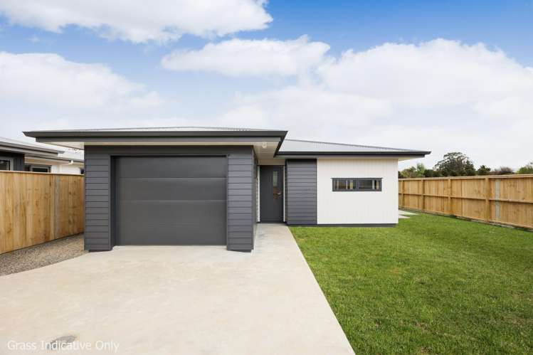 103 Sowry Road Woodville_4