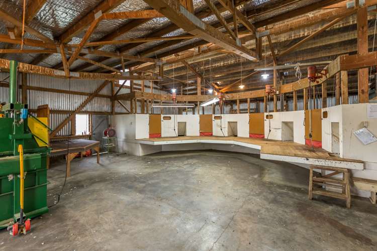 387 Eggleston Road Cheviot_16