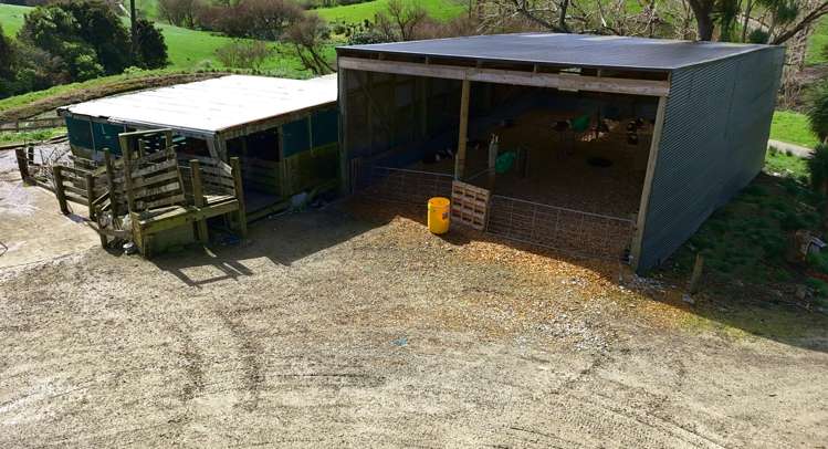 77 Parker Road Wellsford_6