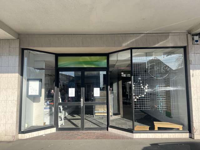 93 Upland Road Kelburn_1