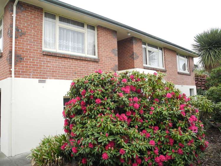 38 Avenue Road West End_15