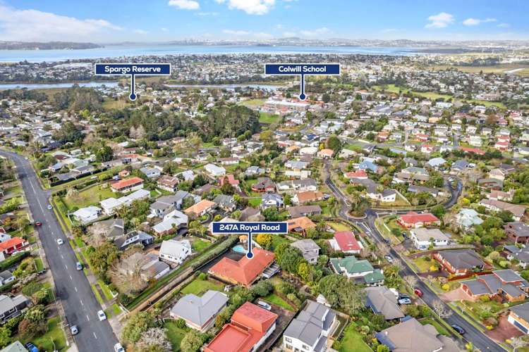 247a Royal Road Massey_27