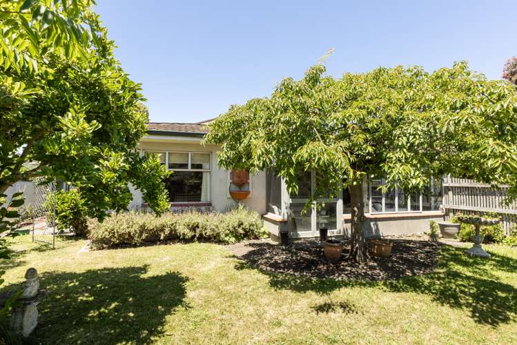 83a Avondale Road Taradale_16