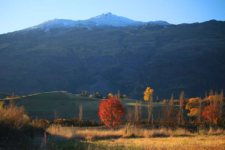 349 Lower Shotover Road Speargrass Flat_9