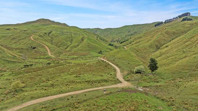 1068 Hinemoa Valley Road Pahiatua_2