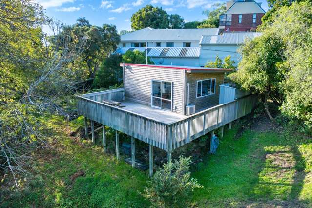 10 Ryan Street Portobello_1