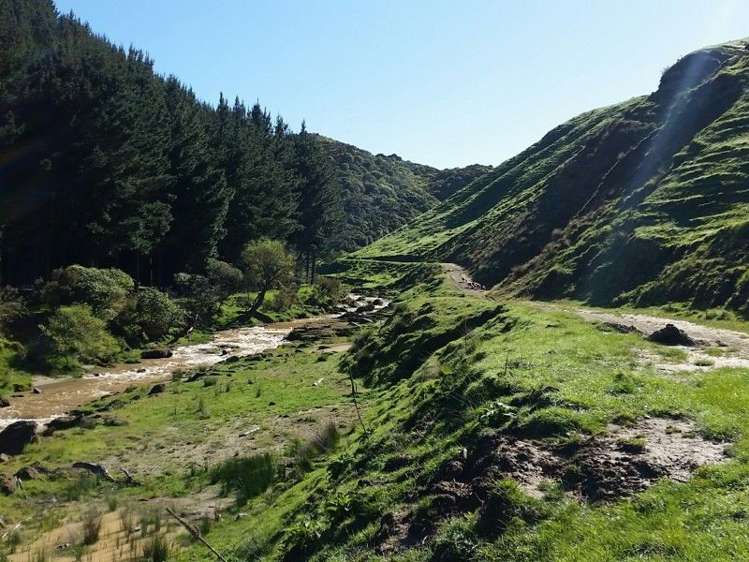 1584a Brunswick Road Kai Iwi_11