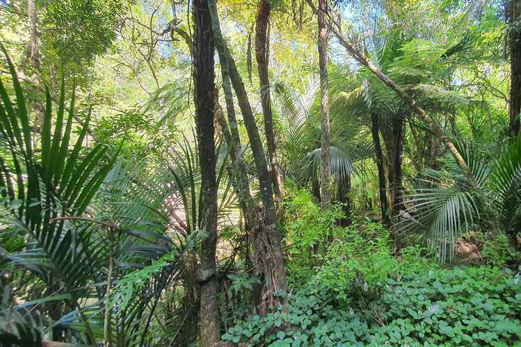 10 Beach Street Sandspit_35