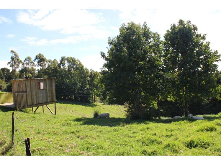 737a Owhiwa Road Parua Bay_22