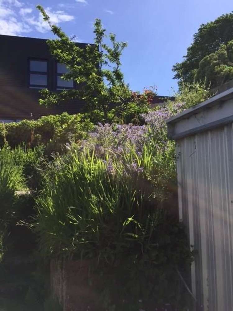 14 Canongate Dunedin Central_7