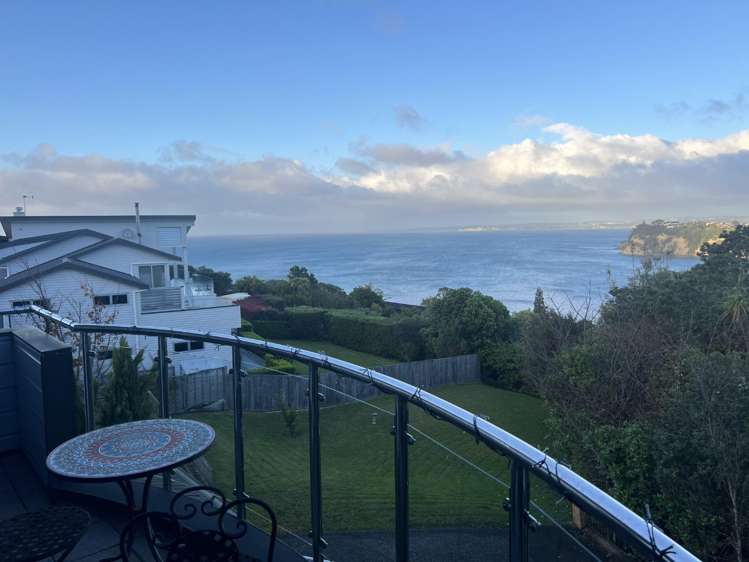 65 Roberts Road Matakatia Bay_14