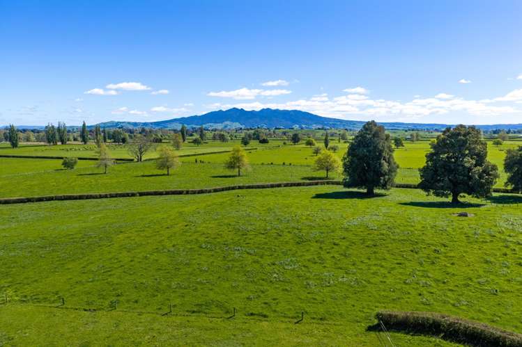 315 Forkert Road Ohaupo_21