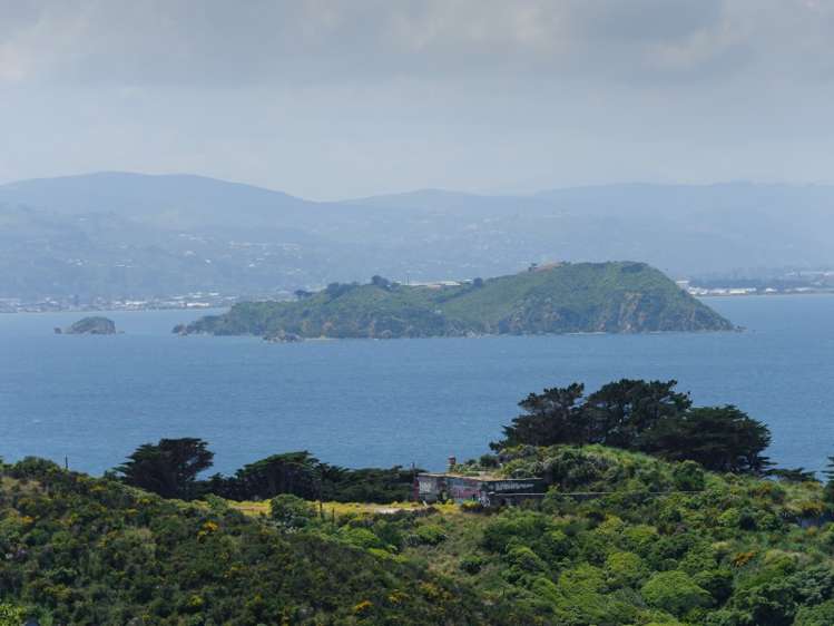 13 Fortification Road Karaka Bays_22