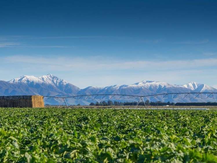 671 Hinds Lismore Road Lismore_4