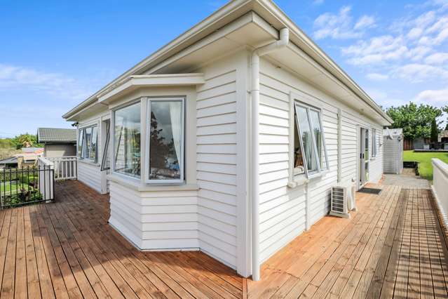 142 Bridgman Road Te Awamutu_2