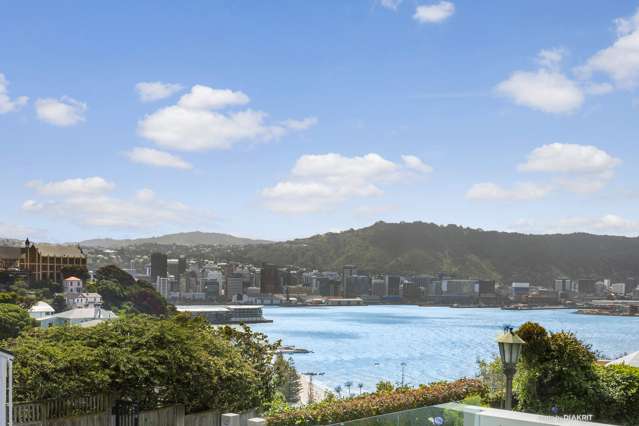 1a/22 Telford Terrace Oriental Bay_1