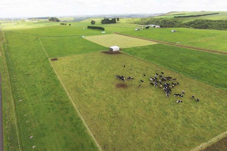 355 Pakaraka Road Waitotara_10