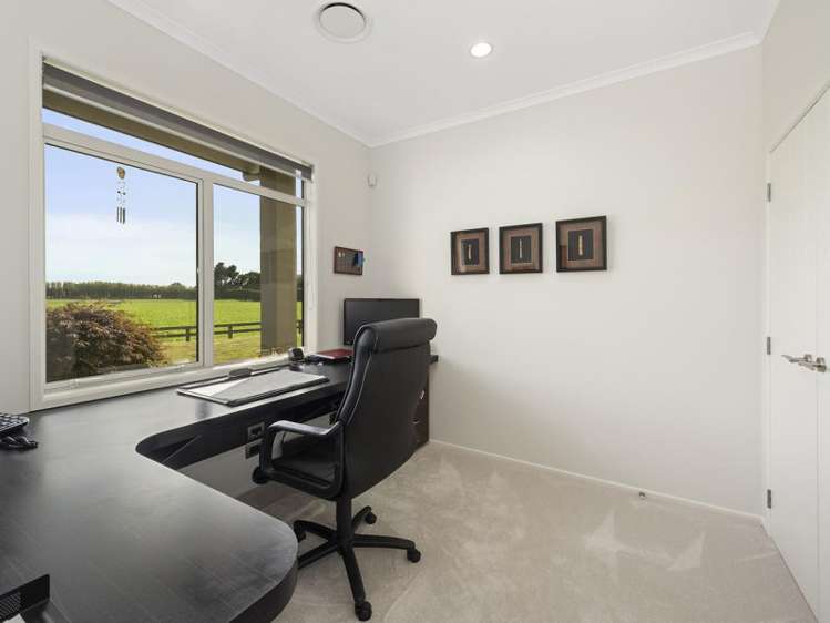 66 Webster Road Matangi_11