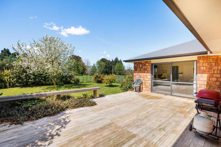 946F Finnis Road Pohangina_6