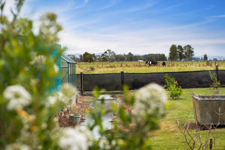 992 Hauraki Road Turua_24