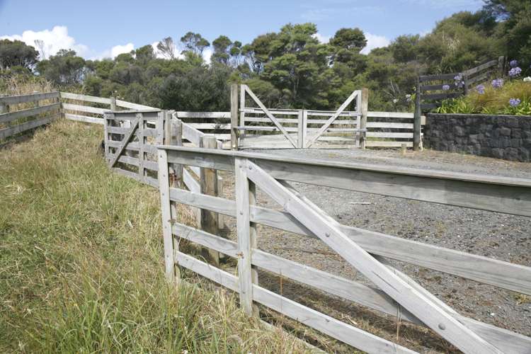 200 Martin Access Road Makarau_30