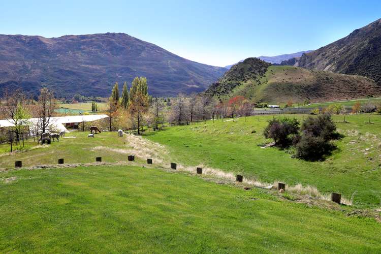 163 Gibbston Back Road Gibbston_25