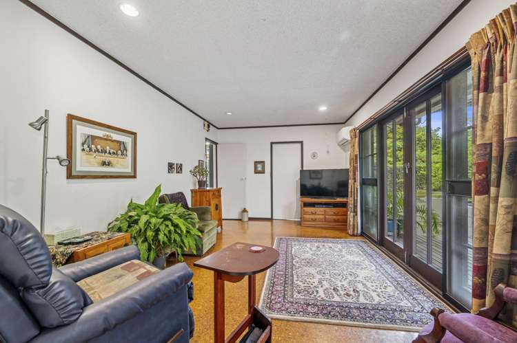 3 Willmott Place Springfield_9