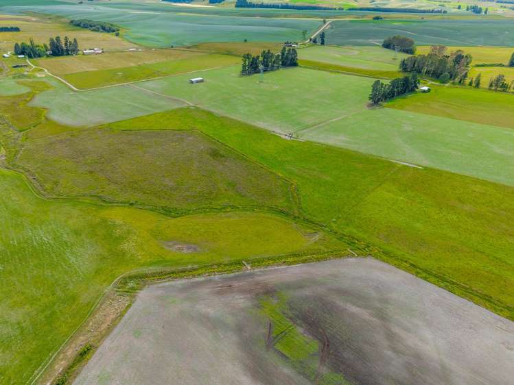 311 Hamilton Road Fairlie_17