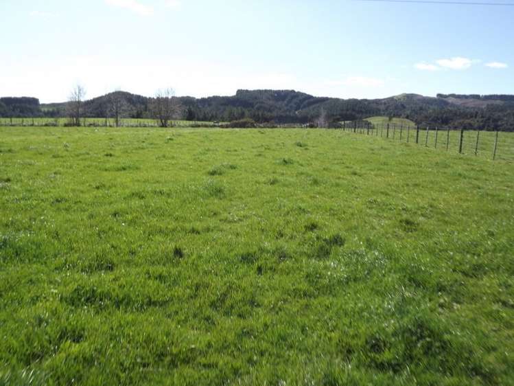 9 Mangakino Road Raglan_5